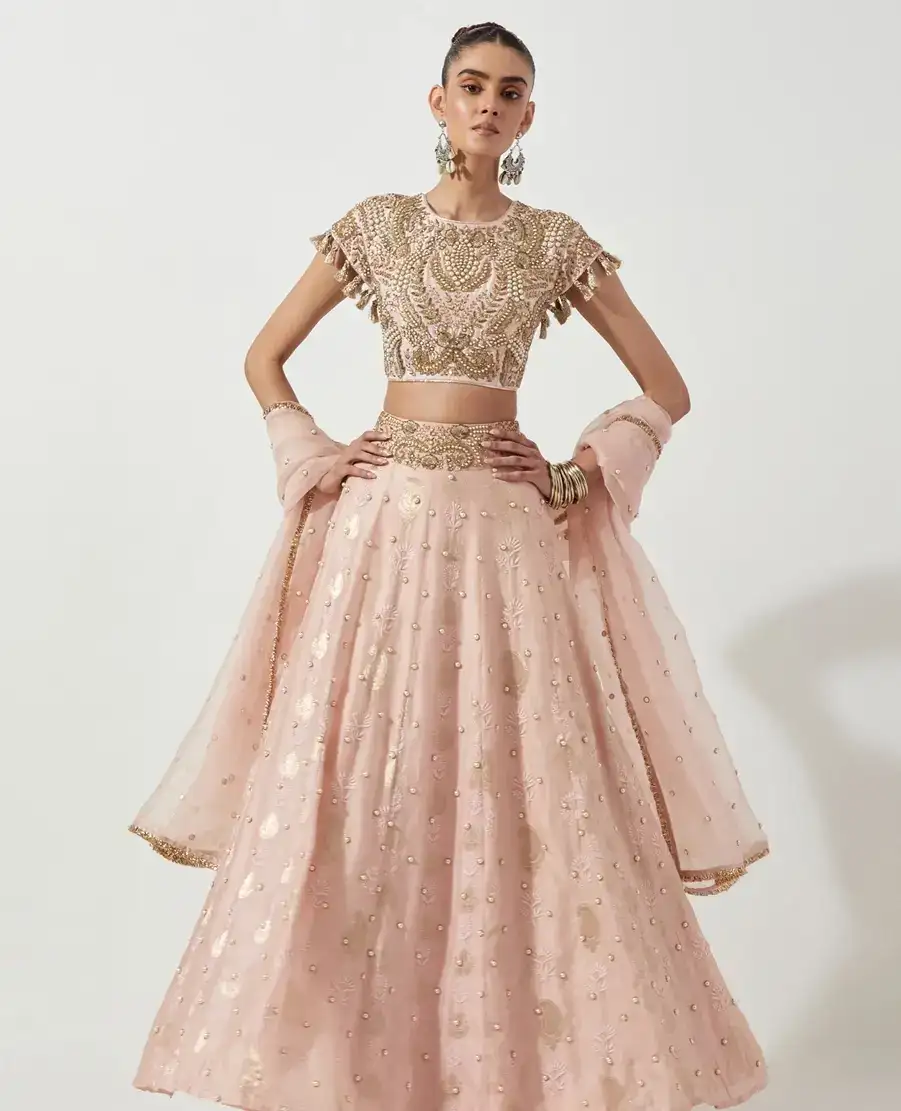 Silks, Zari, Sequins, Mirrorwork