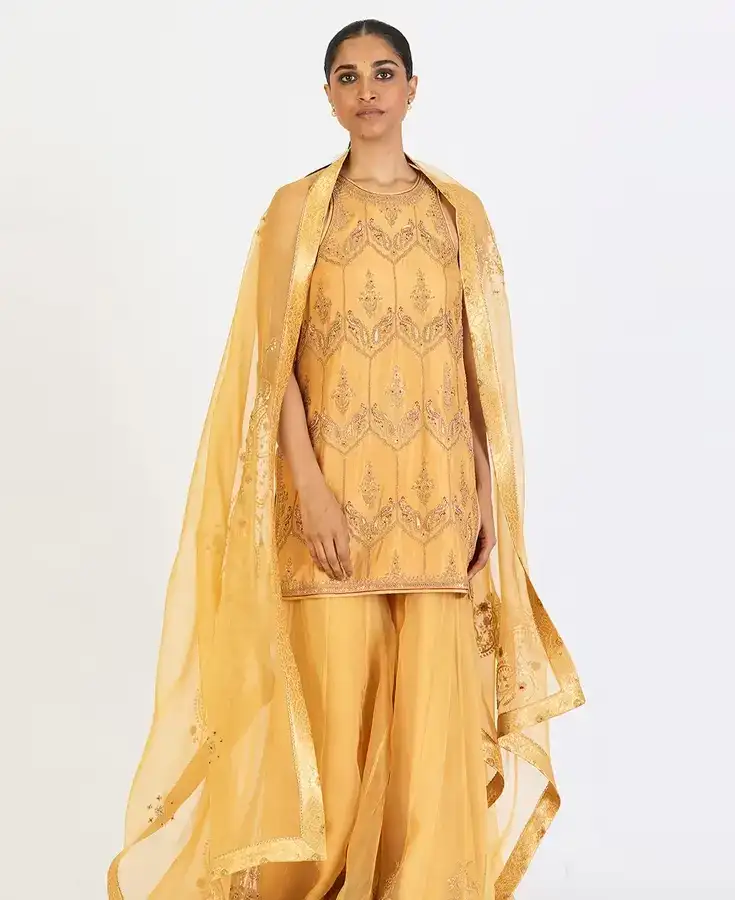 Georgette, Chiffon, Zardozi, Sequins, Crepe