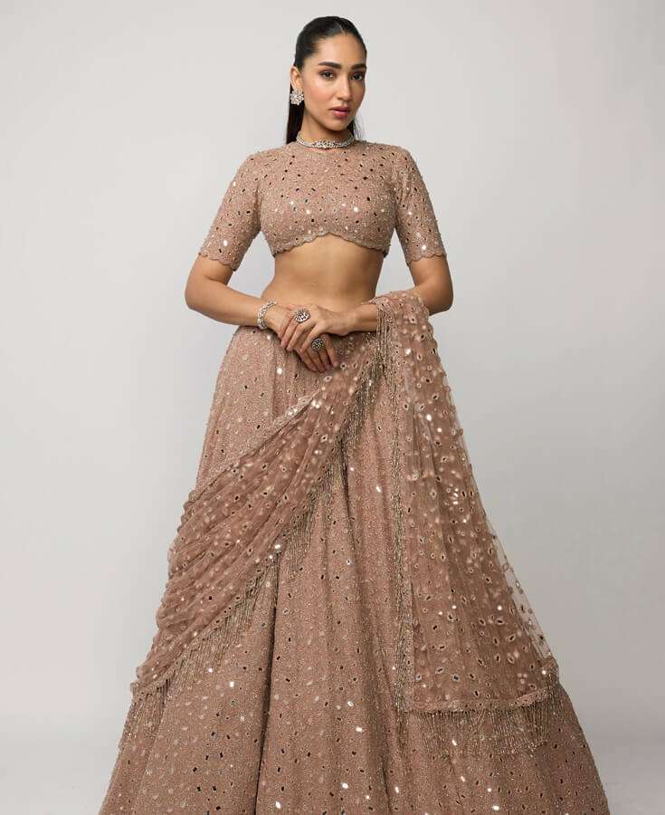 Silks, Zari, Sequins, Mirrorwork