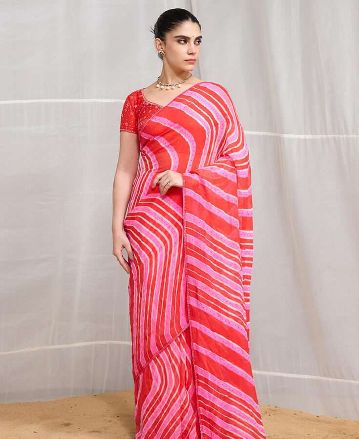 Silk, Banarasi, Printed, Mirrorwork, Salma