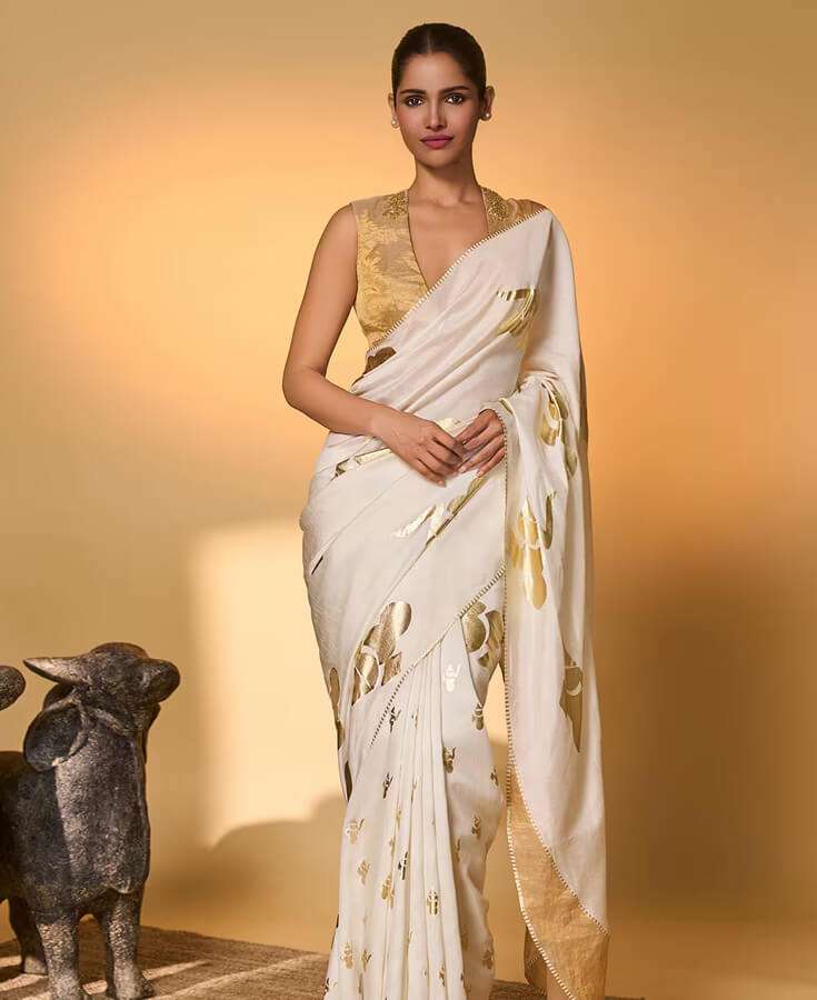 Silk, Banarasi, Printed, Mirrorwork, Salma